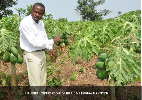 Dr.-John-Oyedepo-at-one-of-the-CSA-Pawpaw-plantation